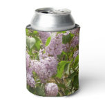 Lilac Bush Beautiful Purple Spring Flowers Can Cooler