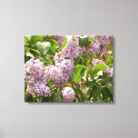 Lilac Bush Beautiful Purple Spring Flowers Canvas Print