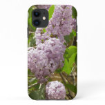 Lilac Bush Beautiful Purple Spring Flowers iPhone 11 Case