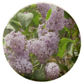 Lilac Bush Beautiful Purple Spring Flowers Chocolate Covered Oreo (Front)