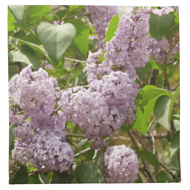 Lilac Bush Beautiful Purple Spring Flowers Cloth Napkin (Front)