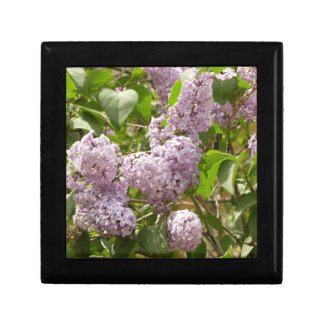 Lilac Bush Beautiful Purple Spring Flowers Gift Box
