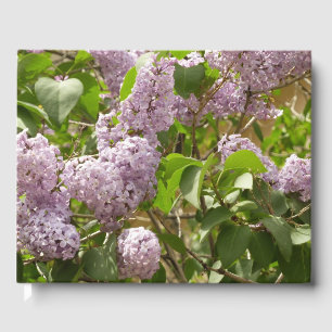 Lilac Bush Beautiful Purple Spring Flowers Guest Book