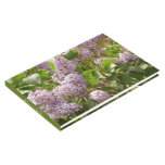 Lilac Bush Beautiful Purple Spring Flowers Guest Book