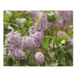 Lilac Bush Beautiful Purple Spring Flowers Jigsaw Puzzle