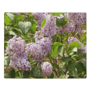 Lilac Bush Beautiful Purple Spring Flowers Jigsaw Puzzle