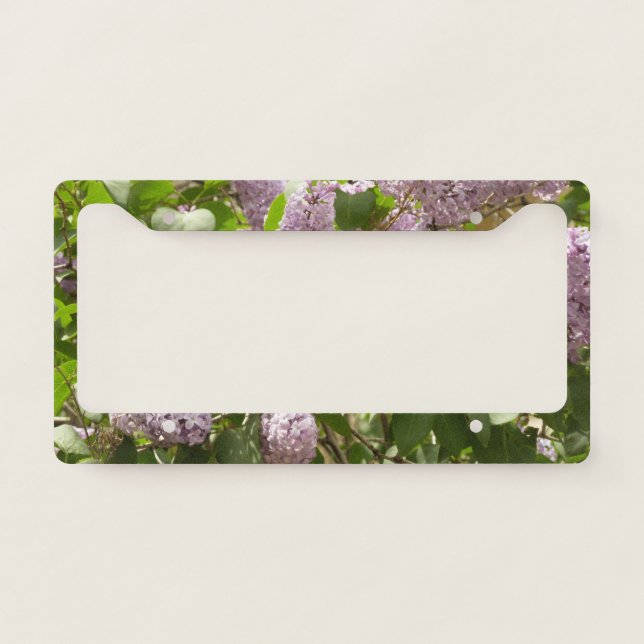Lilac Bush Beautiful Purple Spring Flowers License Plate Frame (Front)