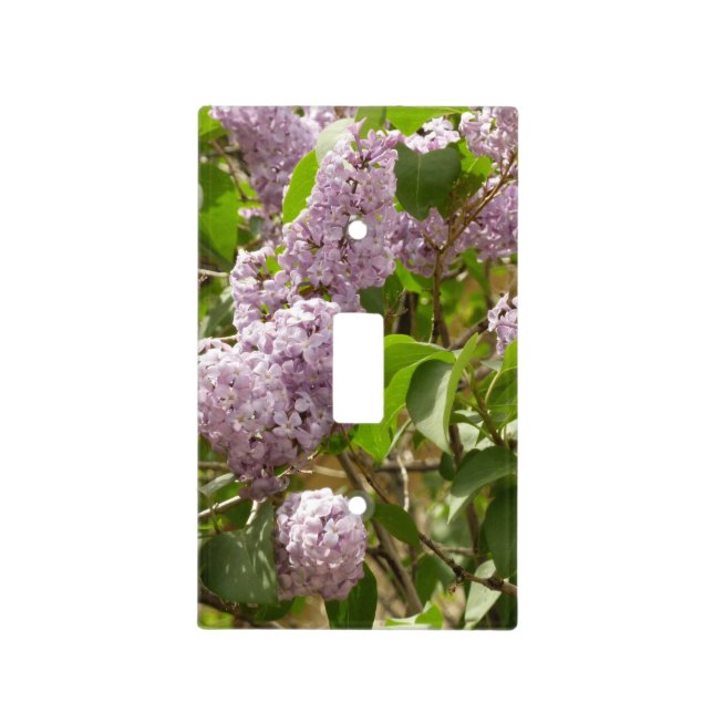 Lilac Bush Beautiful Purple Spring Flowers Light Switch Cover (Front)