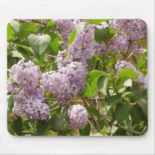 Lilac Bush Beautiful Purple Spring Flowers Mouse Pad
