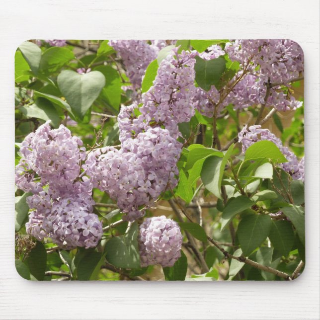 Lilac Bush Beautiful Purple Spring Flowers Mouse Pad (Front)