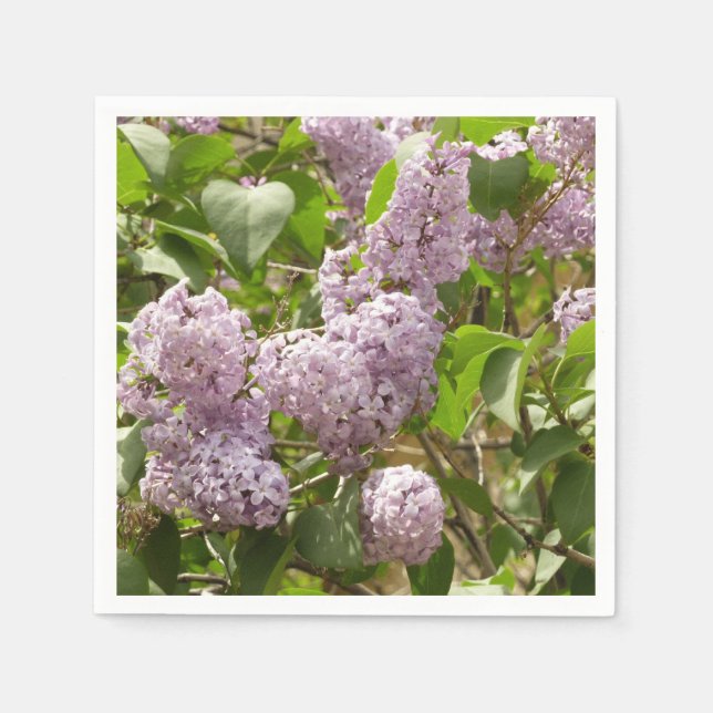 Lilac Bush Beautiful Purple Spring Flowers Napkins (Front)