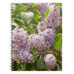 Lilac Bush Beautiful Purple Spring Flowers Notebook