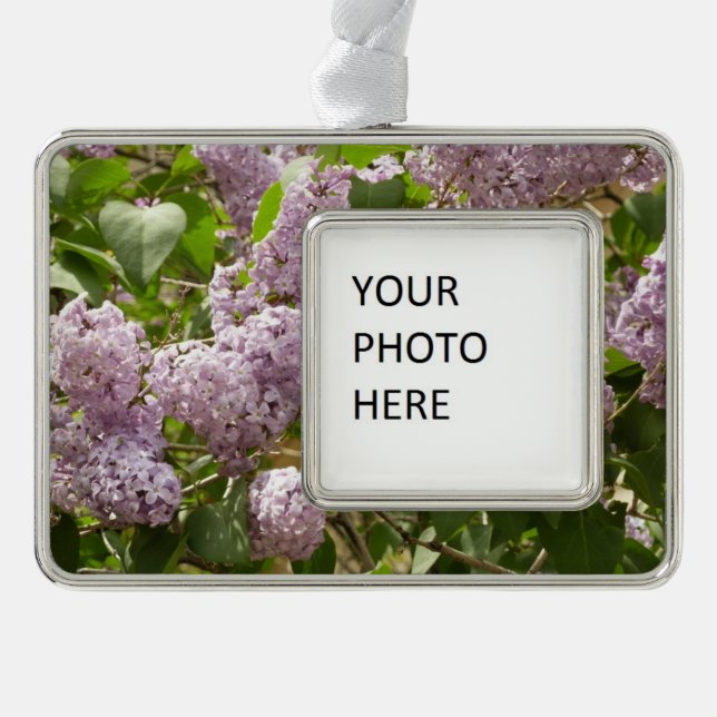 Lilac Bush Beautiful Purple Spring Flowers Ornament (Front)
