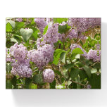 Lilac Bush Beautiful Purple Spring Flowers Paperweight