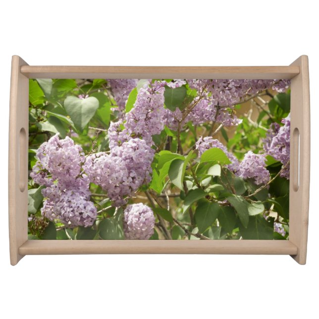 Lilac Bush Beautiful Purple Spring Flowers Serving Tray (Front)
