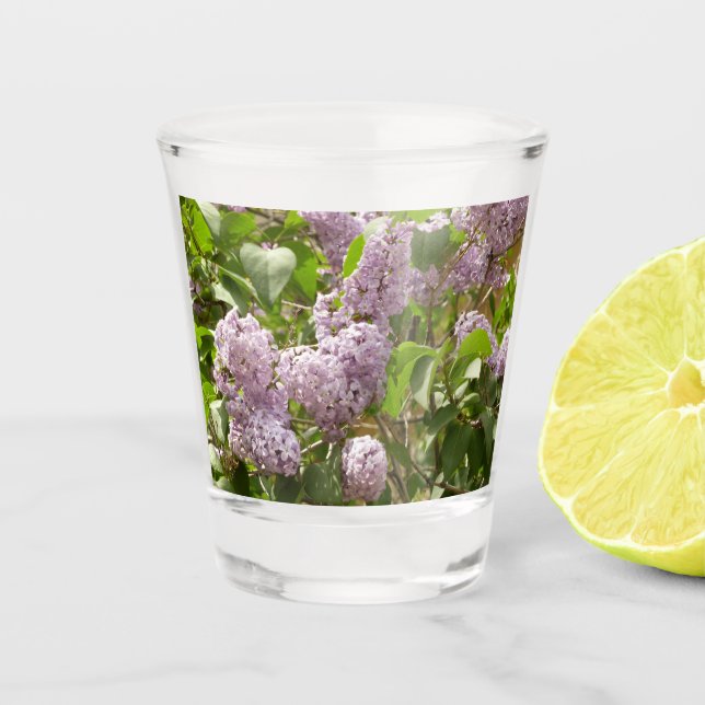 Lilac Bush Beautiful Purple Spring Flowers Shot Glass (Front)