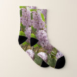 Lilac Bush Beautiful Purple Spring Flowers Socks