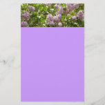 Lilac Bush Beautiful Purple Spring Flowers Stationery