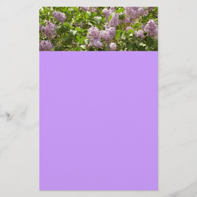 Lilac Bush Beautiful Purple Spring Flowers Stationery (Front)