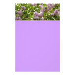 Lilac Bush Beautiful Purple Spring Flowers Stationery