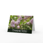 Lilac Bush Beautiful Purple Spring Flowers Thank You Card