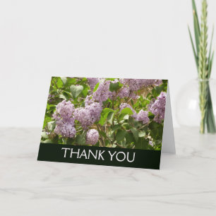 Lilac Bush Beautiful Purple Spring Flowers Thank You Card