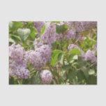 Lilac Bush Beautiful Purple Spring Flowers Tissue Paper