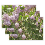 Lilac Bush Beautiful Purple Spring Flowers Wrapping Paper Sheets