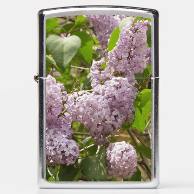 Lilac Bush Beautiful Purple Spring Flowers Zippo Lighter (Front)
