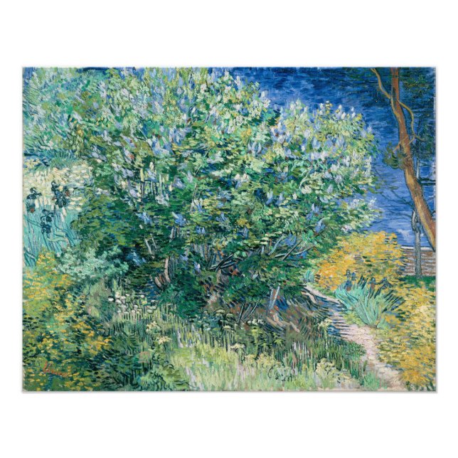 Lilac Bush (Lilacs) by Vincent Van Gogh Photo Print (Front)