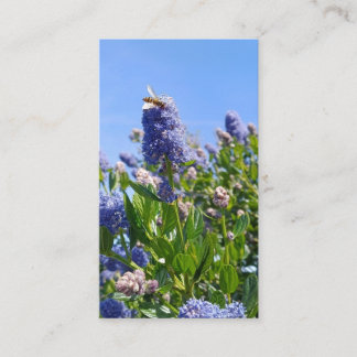 Lilac business cards
