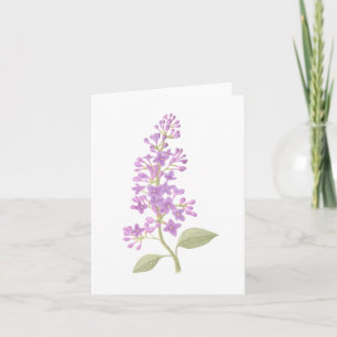 Lilac Card