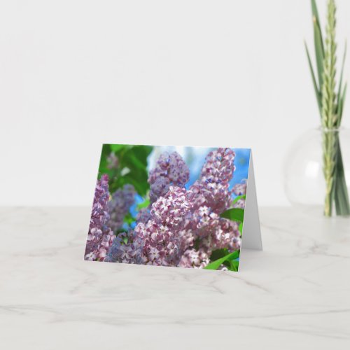 Lilac Card 1