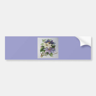 Lilac Clematis Vine Acrylic Painting Bumper Sticker