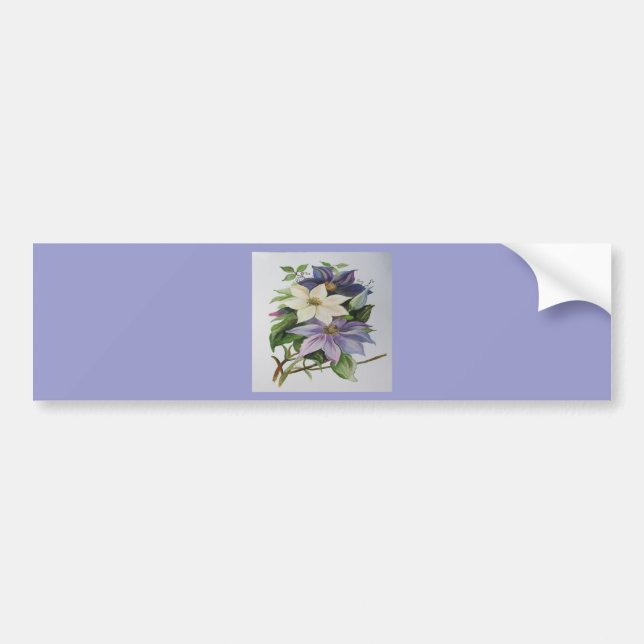 Lilac Clematis Vine Acrylic Painting Bumper Sticker (Front)