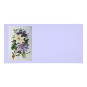 Lilac Clematis Vine Acrylic Painting Card
