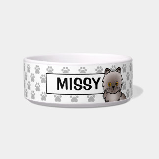 Lilac Coat Color Persian Cat With Cat's Own Name Bowl