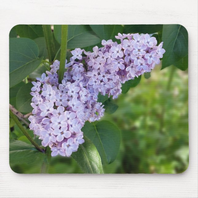 lilac curtain mouse pad (Front)