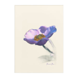 Lilac Dream Flowers – Romantic Fantasy Nature Acrylic Print