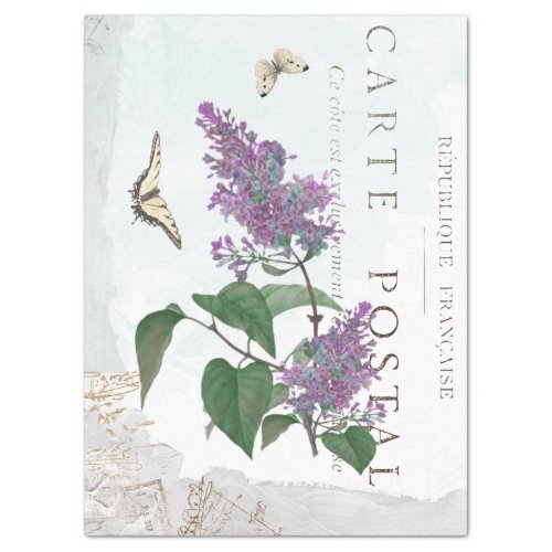 Lilac Flower Butterfly Carte Postale Blue Painted Tissue Paper