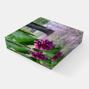 lilac flower in the rain paperweight