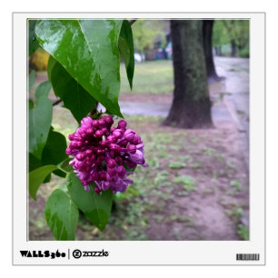 lilac flower in the rain wall decal