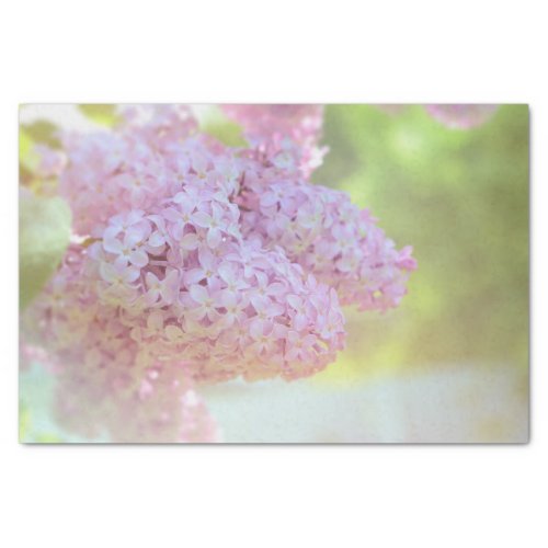 Lilac Flower Light Purple Beautiful Country Tissue Paper