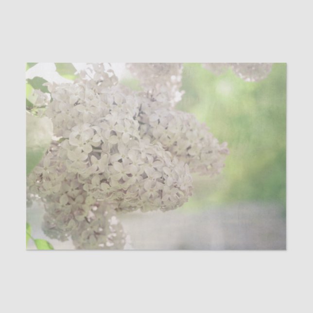 Lilac Flower Soft White Country Botanical Tissue Paper (Front)