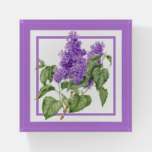 Lilac Flower Vintage Botanical Purple Green Floral Paperweight