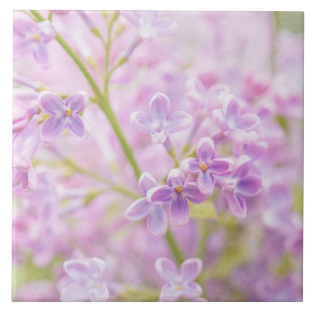 Lilac Flowers Mist Tile (Front)