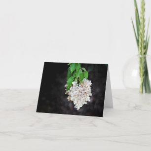 Lilac Heart Note Cards