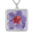 Lilac Hibsicus Bloom