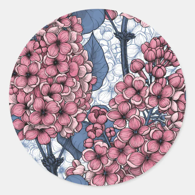 Lilac in pink and blue classic round sticker | Zazzle
