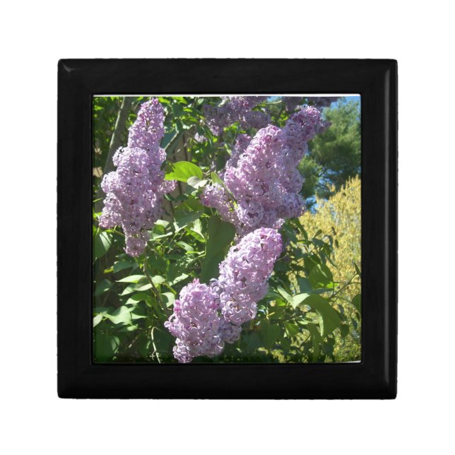 Lilac Jewelry Trinket Keepsake Box (Front)